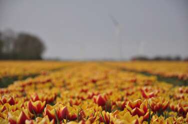 Dagje uit in Flevoland