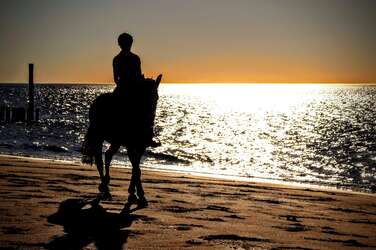 Ferienparks in Zeeland