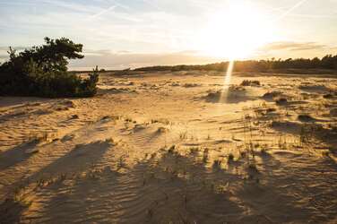 Vakantieparken in Gelderland