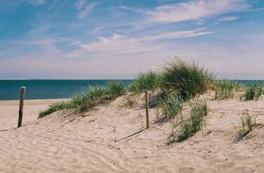 Campings op Vlieland