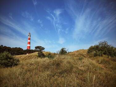 Ferienhäuser auf Ameland