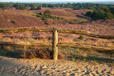 Vakantiehuizen op de Veluwe