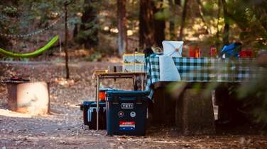 Campings in de Betuwe