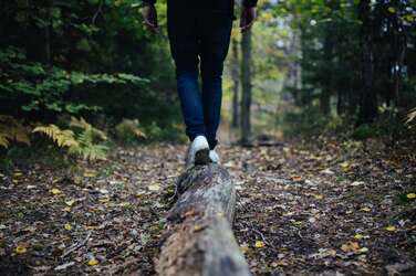 Outdoor activiteiten op de Veluwe