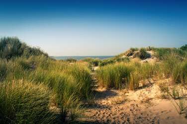 Campingplatz Renesse