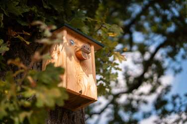 Vind jouw ideale camping in het Drents-Friese Wold