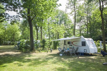 Comfortplaats Oost